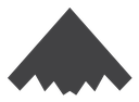 Stealth plane icon