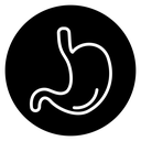 Stomach icon