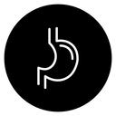 Stomach 3 icon