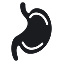 Stomach 4 icon