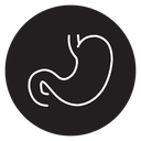Stomach icon