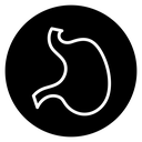 Stomach icon