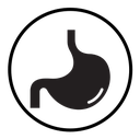 Stomach icon
