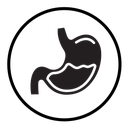 Stomach icon