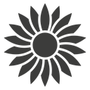 Sunflower icon