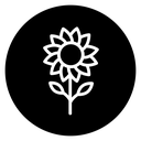 Sunflower 2 icon