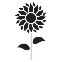 Sunflower icon