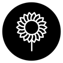 Sunflower 2 icon
