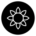 Sunflower icon