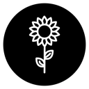 Sunflower Black Filled icon