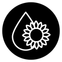 Sunflower oil icon