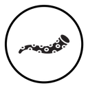 Tentacles octopus icon