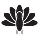 Thanksgiving peacock icon