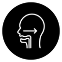 Throat Anatomy icon