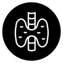 Thyroid icon