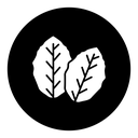 Tobacco leaves icon
