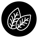 Tobacco leaves icon