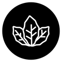 Tobacco Leaves Black Filled icon