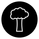 Tree 2 icon