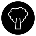 Tree icon