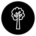 Tree icon