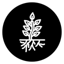 Tree with roots and leaves icon