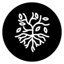 Tree with roots and leaves icon