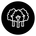 Trees 2 icon
