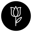 Tulip 2 icon