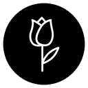 Tulip 2 icon