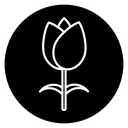 Tulip icon