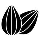 Two Almond Kernels icon
