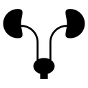 Urinary System Black Filled icon