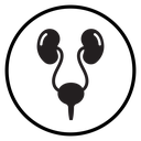 Urinary system icon