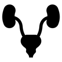 Urinary System icon