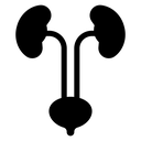 Urinary System icon