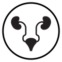 Urinary System Black Filled icon