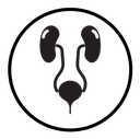 Urinary system icon