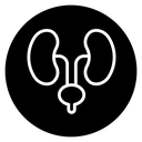 Urology icon