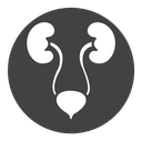 Urology icon