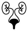Urology black filled icon
