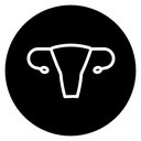 Uterus icon
