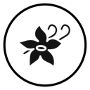 Vanilla icon