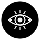 Vision icon