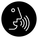 Voice recognition icon