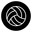 Volley ball icon