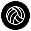 Volleyball icon