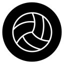 Volleyball icon