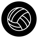Volleyball ball icon