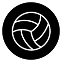 Volleyball ball icon